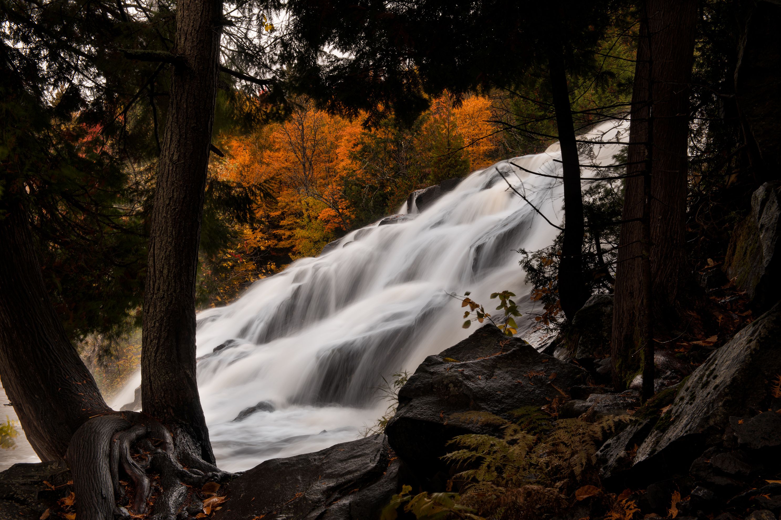 Long exposure of Gooseberry Falls framed by forest trees with autumn leaves in Minnesota