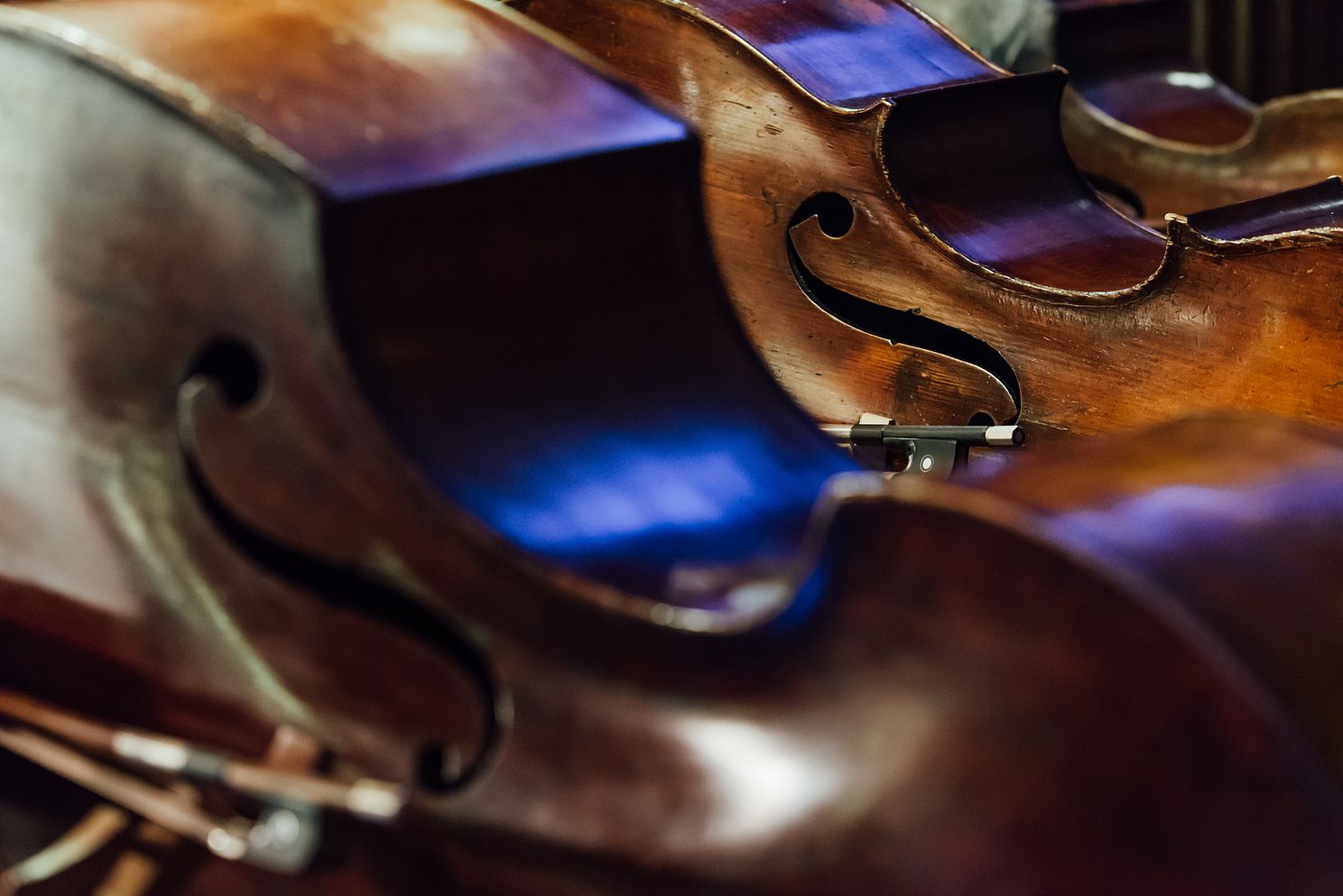 Double bass