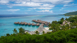 Oceania is a vast region of islands, rich in culture, stunning beaches, and diverse wildlife.