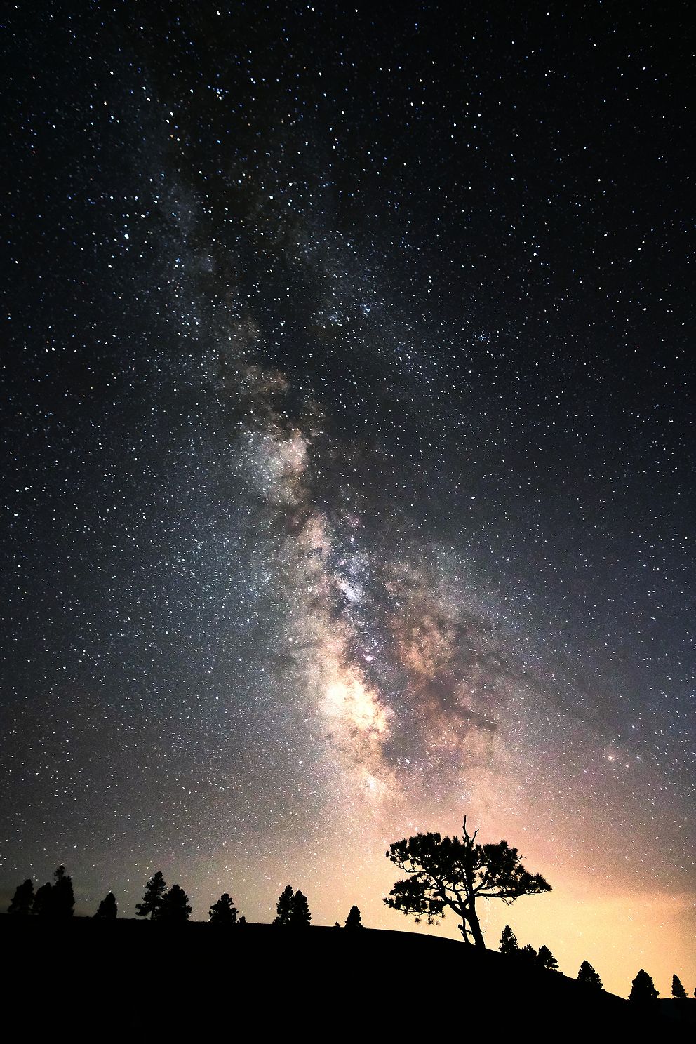 The milky way rises dramatically behind the silhouette of trees at Sunset Crater in Flagstaff AZ