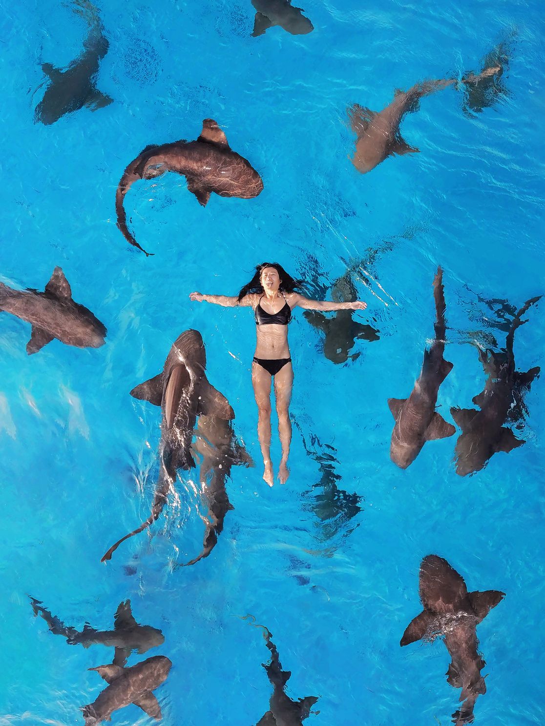 a person laying on the surface of water surrounded by nurse sharks
