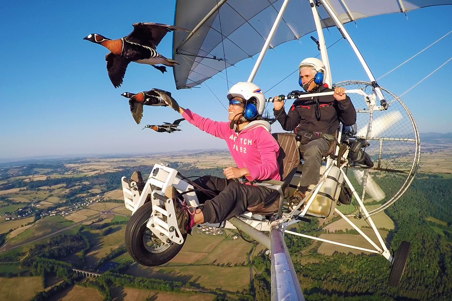 two people in a microlight flying next to a flock of red breasted geese