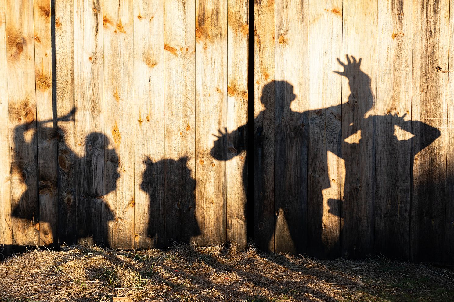 DSCjpg