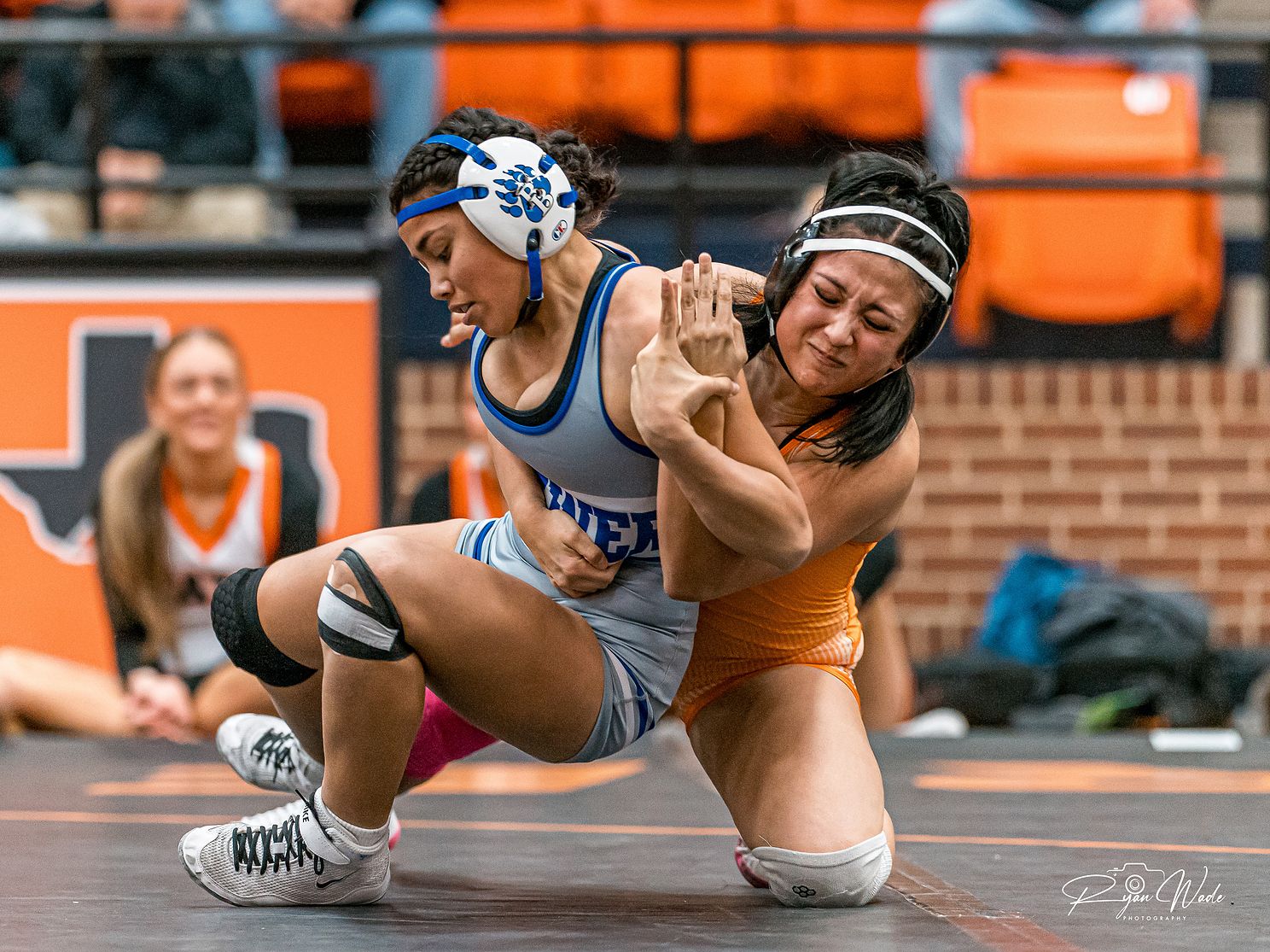  Ladycat wrestlingjpg