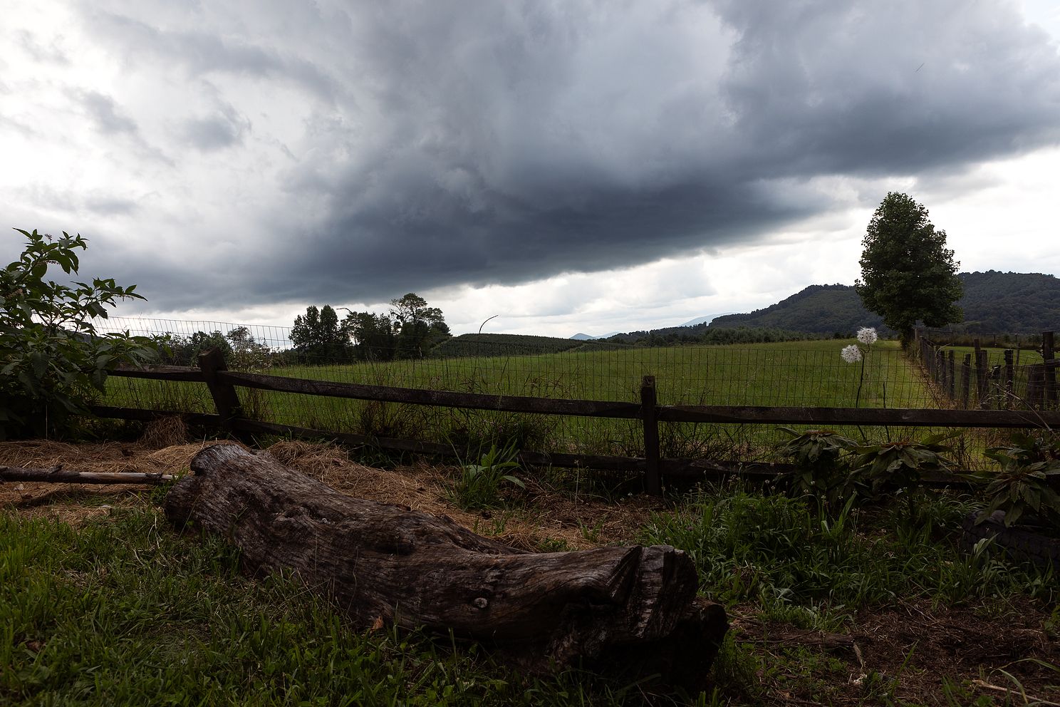 Landscape photo 