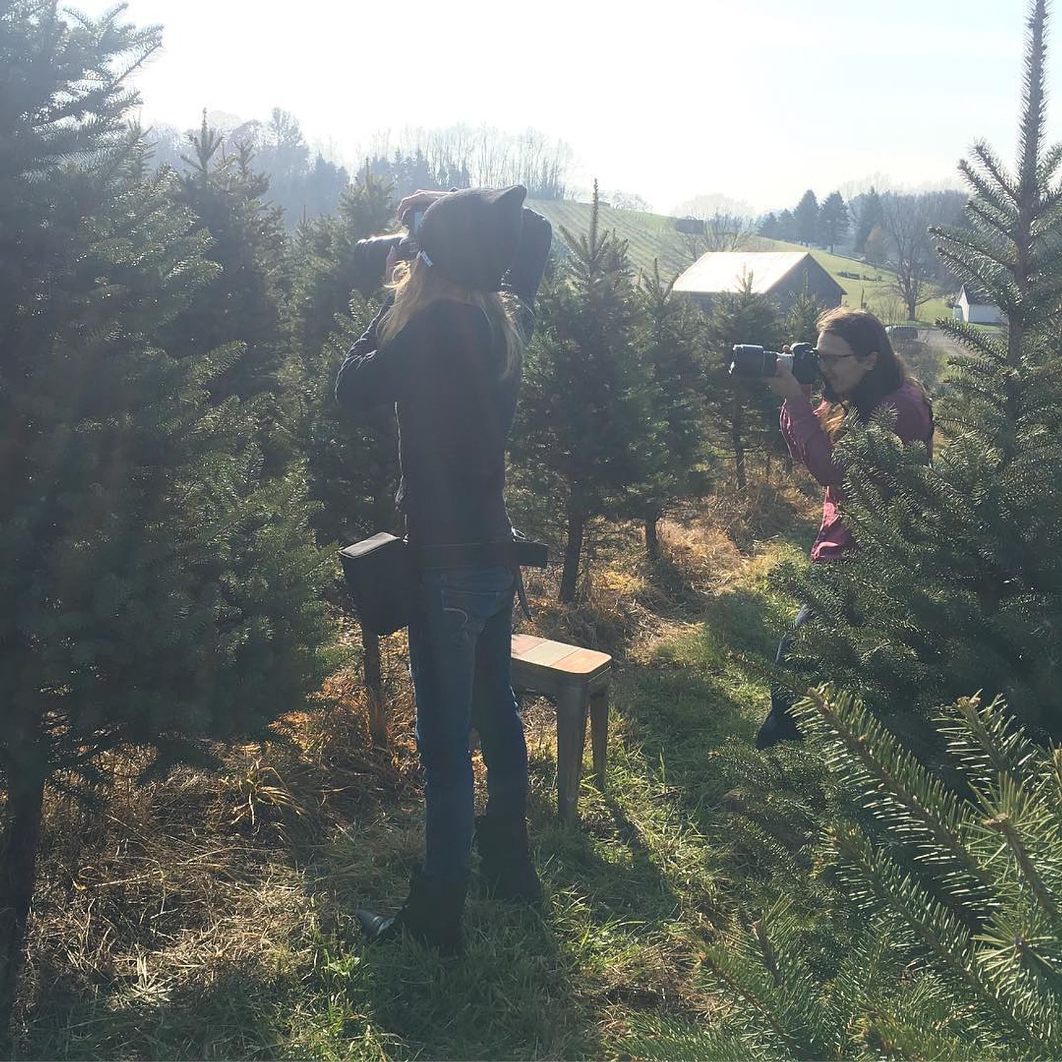 Behind the scenes Christmas tree farm Pennsylvania