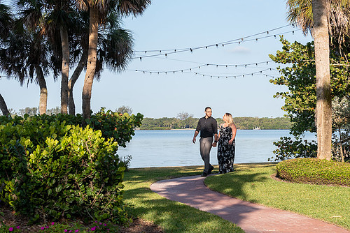 Bay-Preserve-at-Osprey-engagement-8.jpg