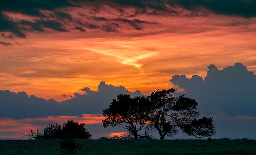 Oklahoma Sunset #2 - 2007-124