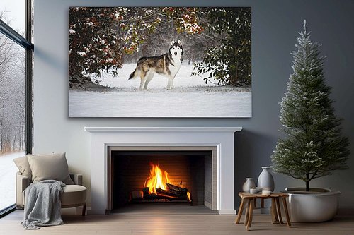 Doggytography_Dog_Photography_Clarkesville_GA_Guild_Canvas-Siberian_Husky_Snow.jpg