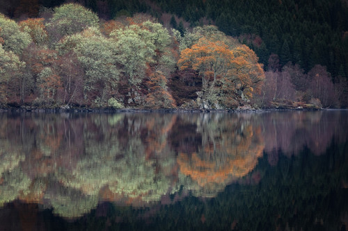 Loch Tummel Trees in Autumn Pethshire