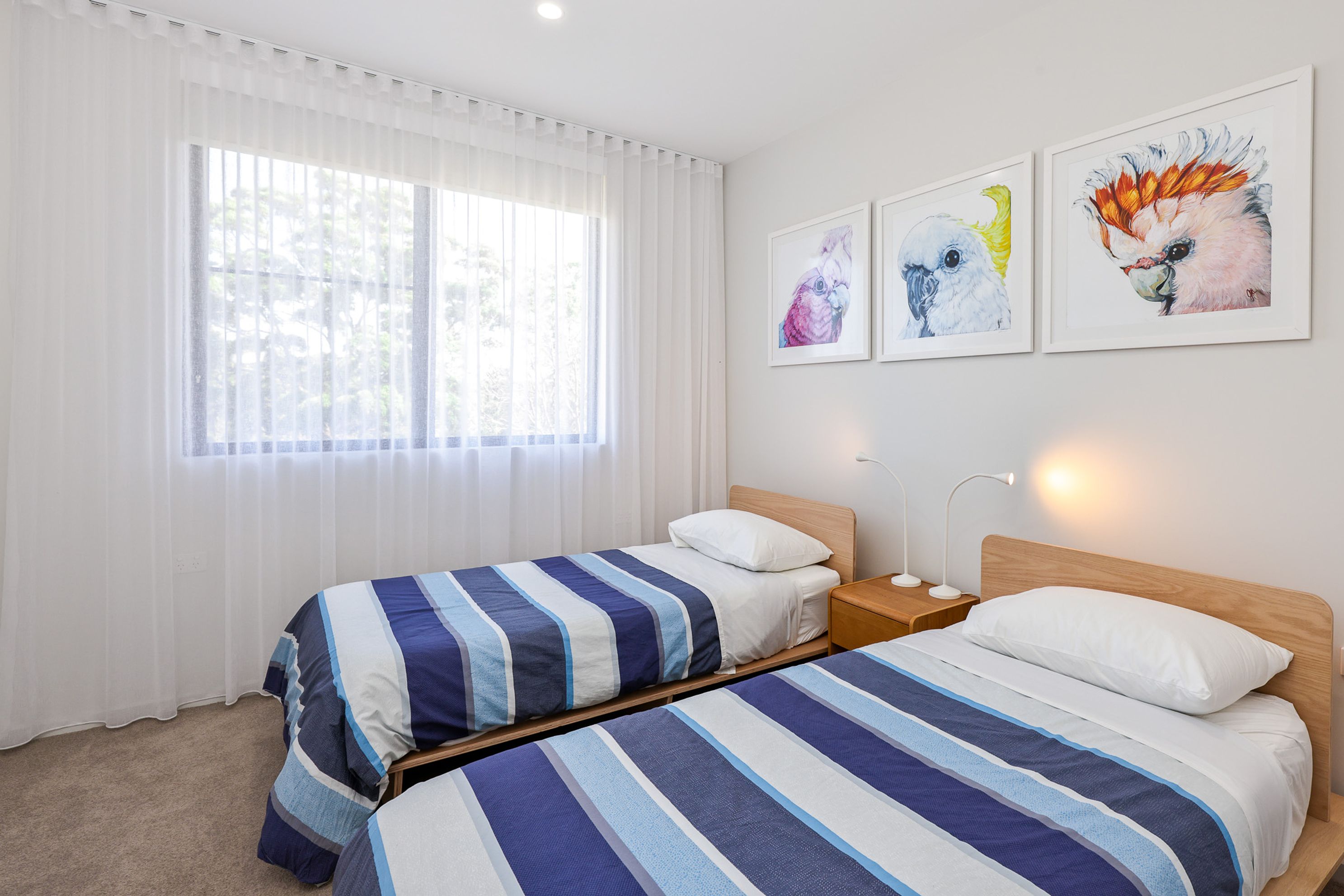 Treetops Luxury Escape