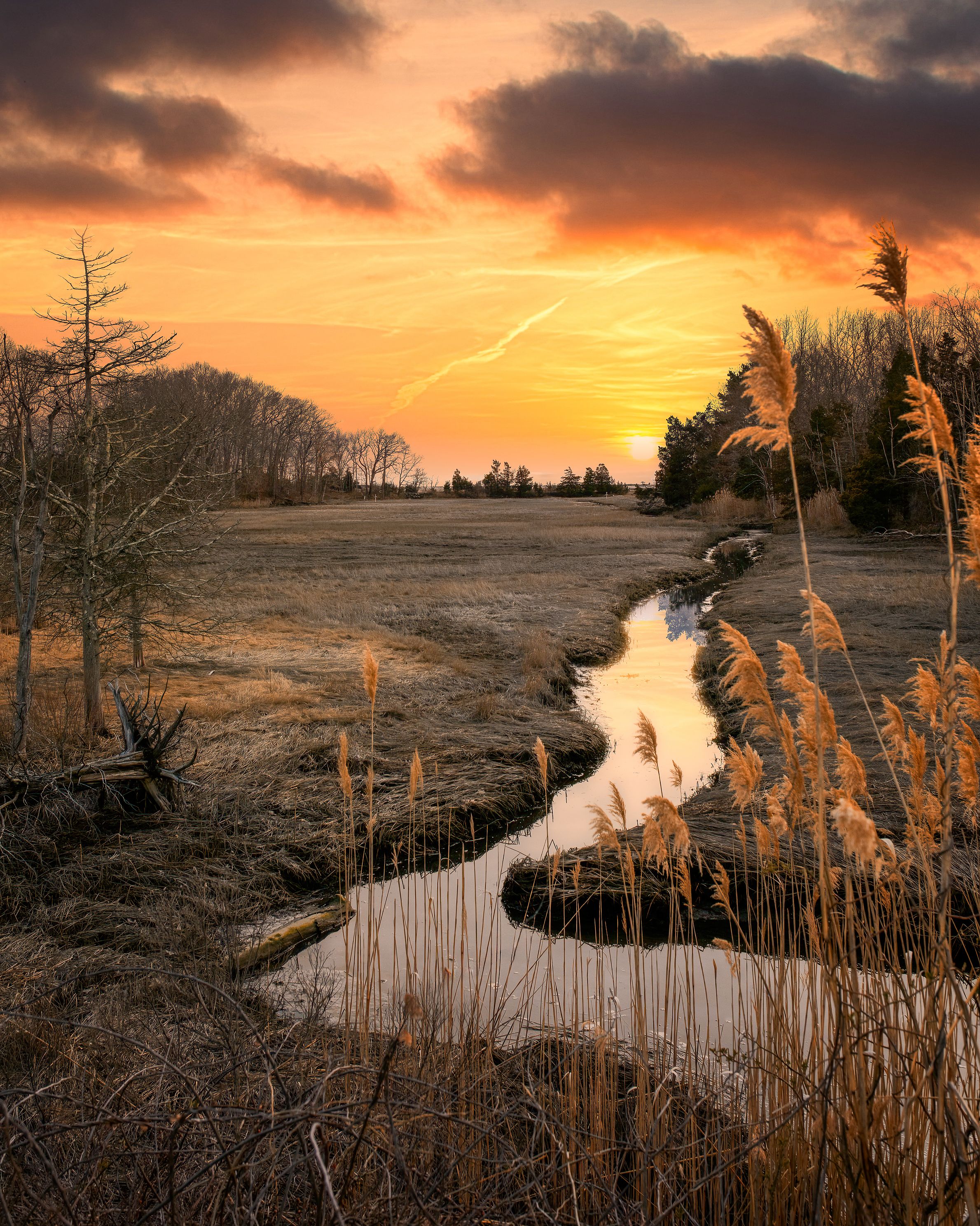 Hammonasset Sunsets.jpg