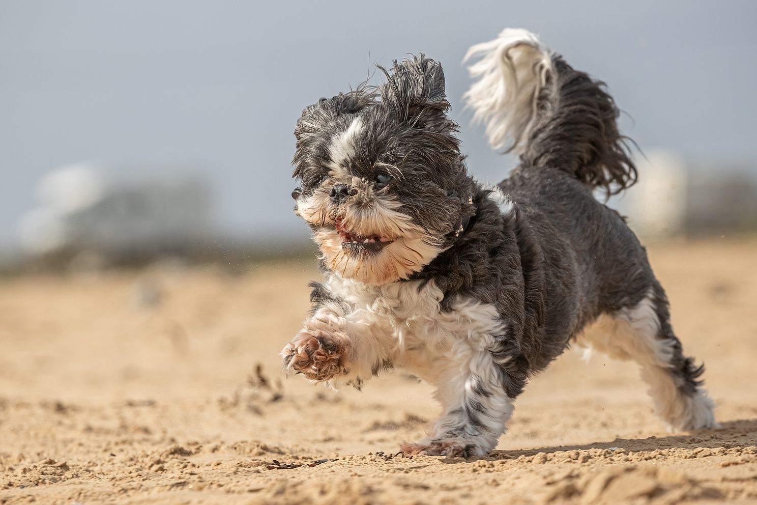 BEACH-119.jpg 1
