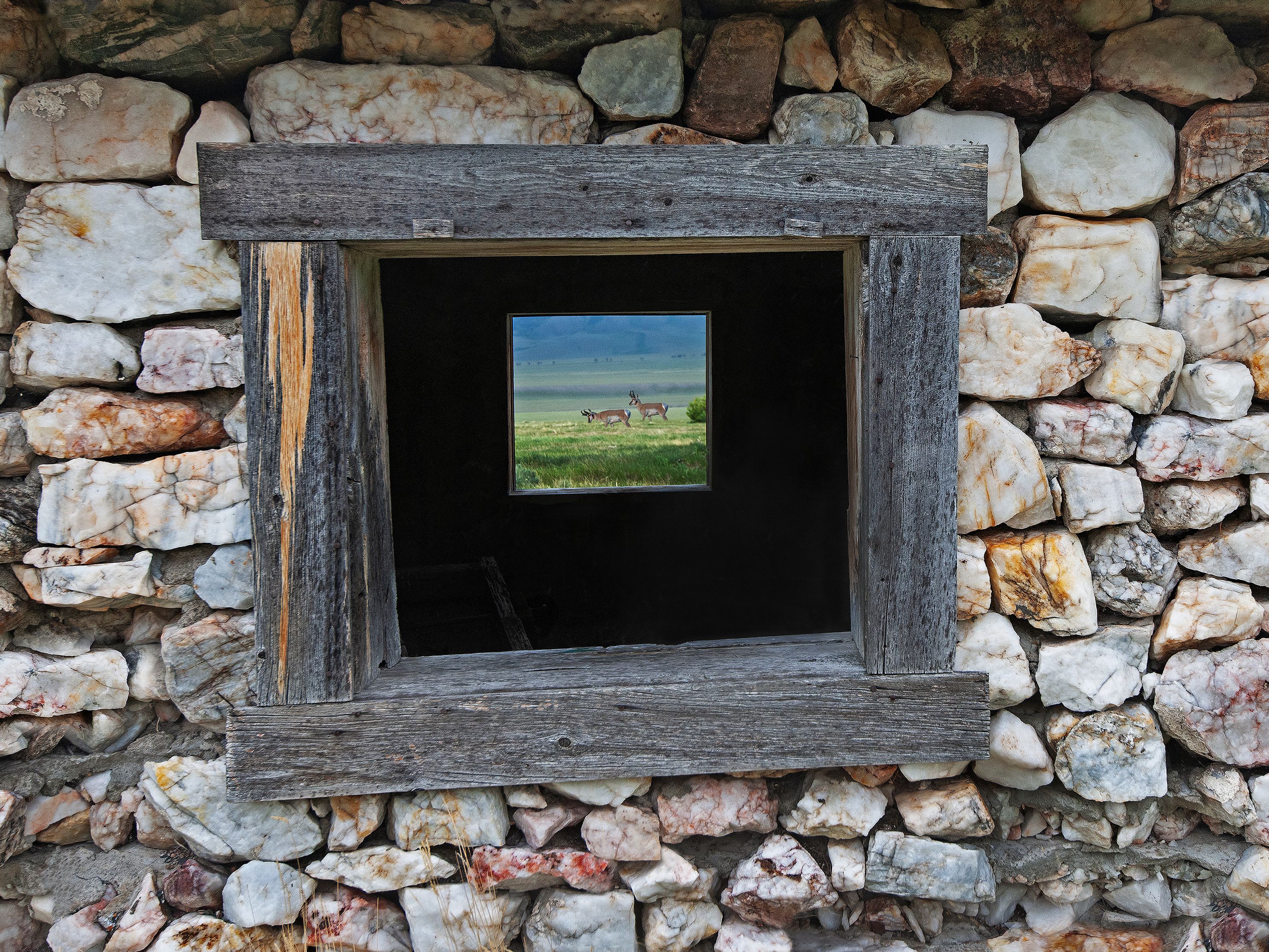 Pronghornwindow3040.jpg 1