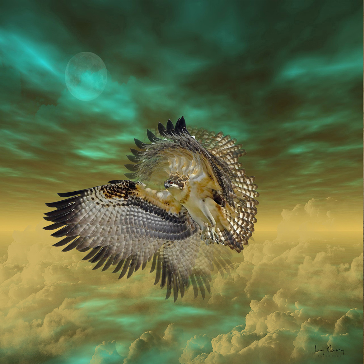Hawk with moon multiples 20 x 20 at 300 e size.jpg