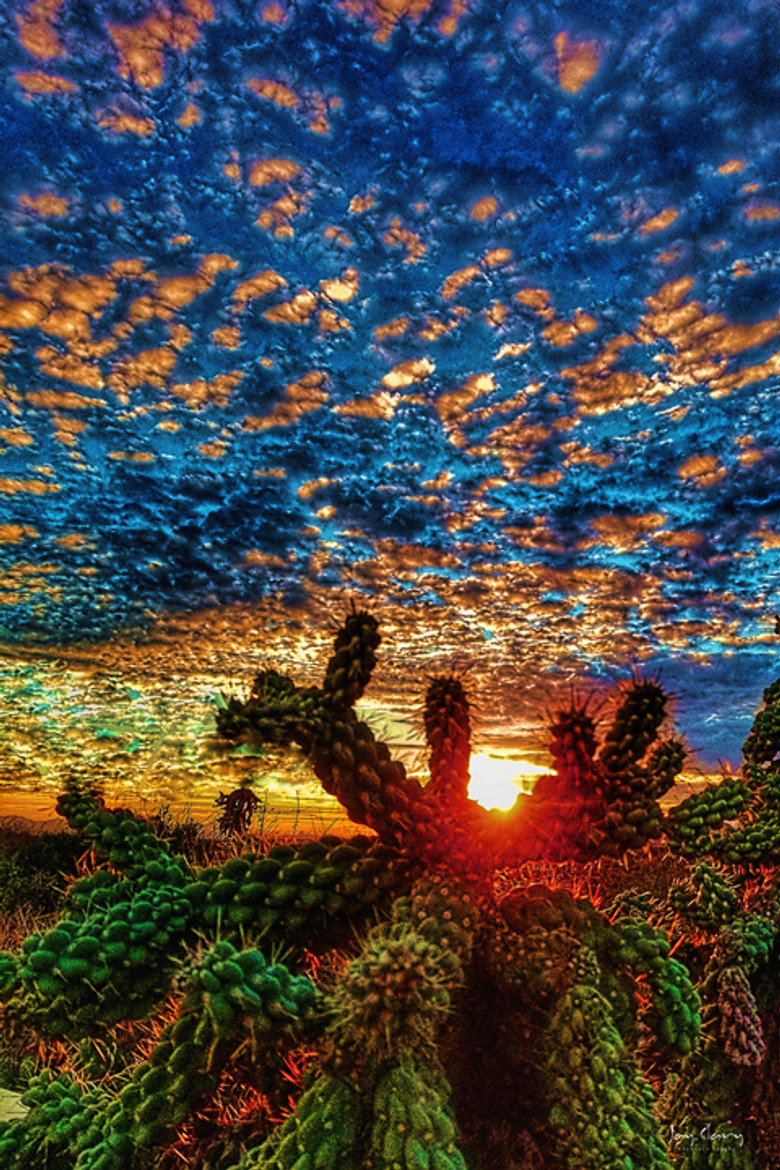 cactus sunset-01 BC SP16 x 24 rev 2 esize.jpg