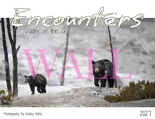 WALL Calendar.jpg