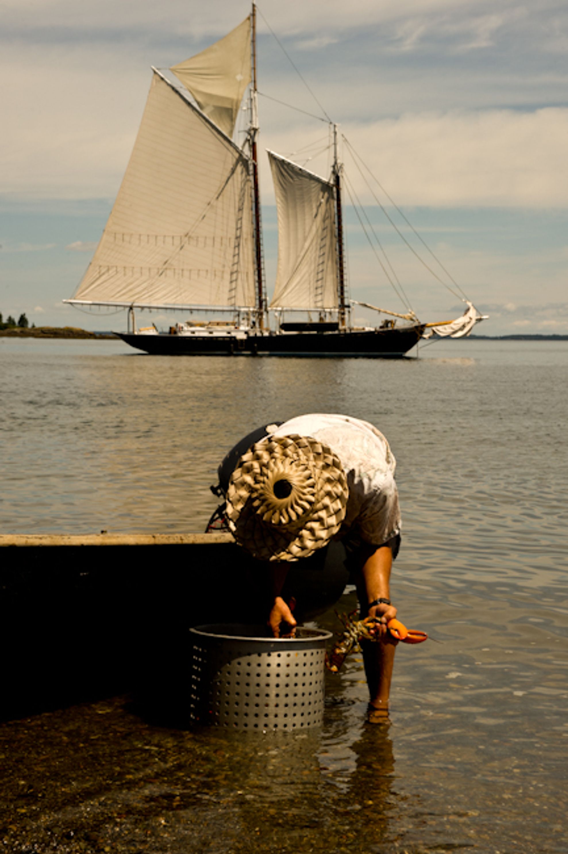copyright Amy Wilton jpg