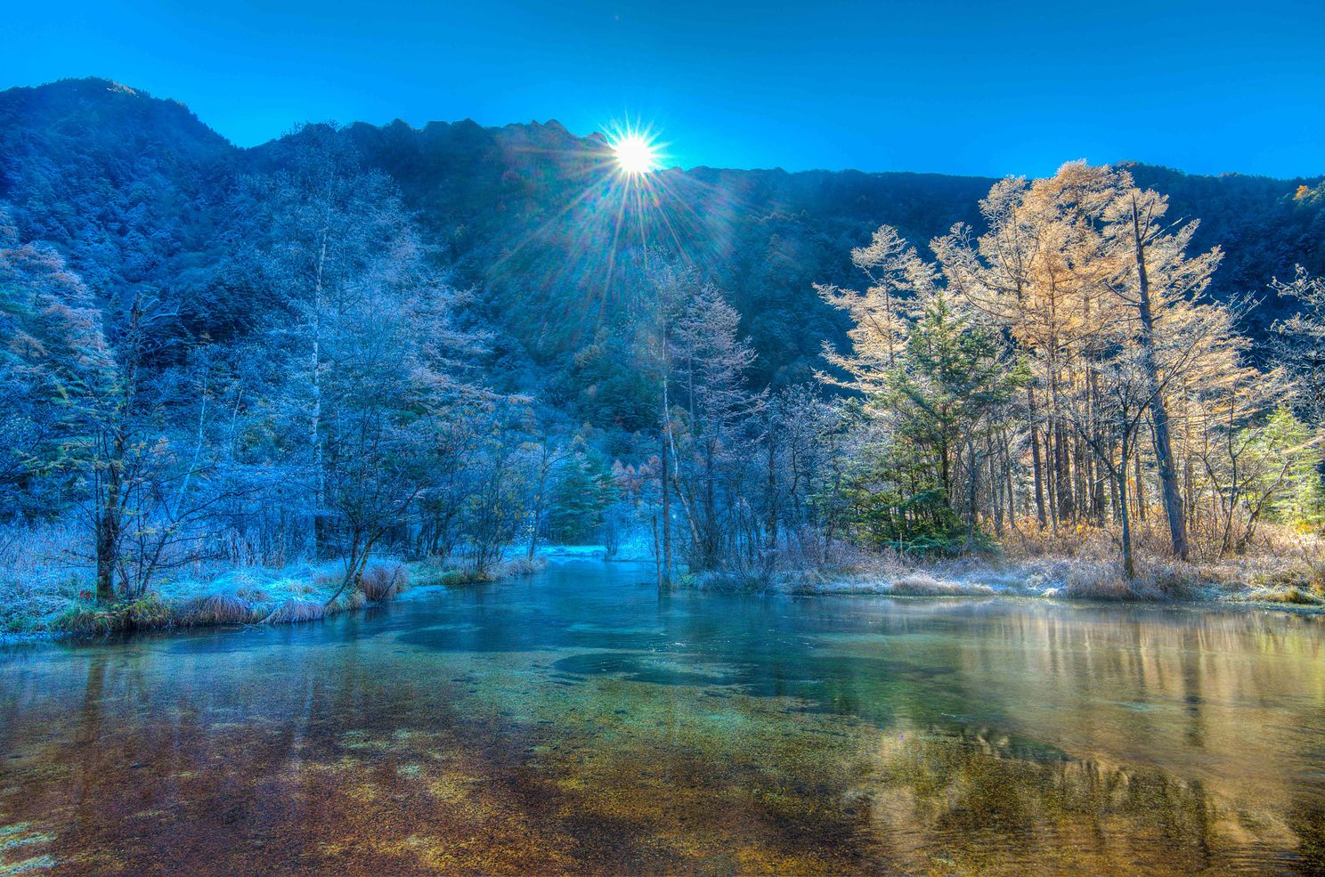 "Morning Light over Tashiro Pond"