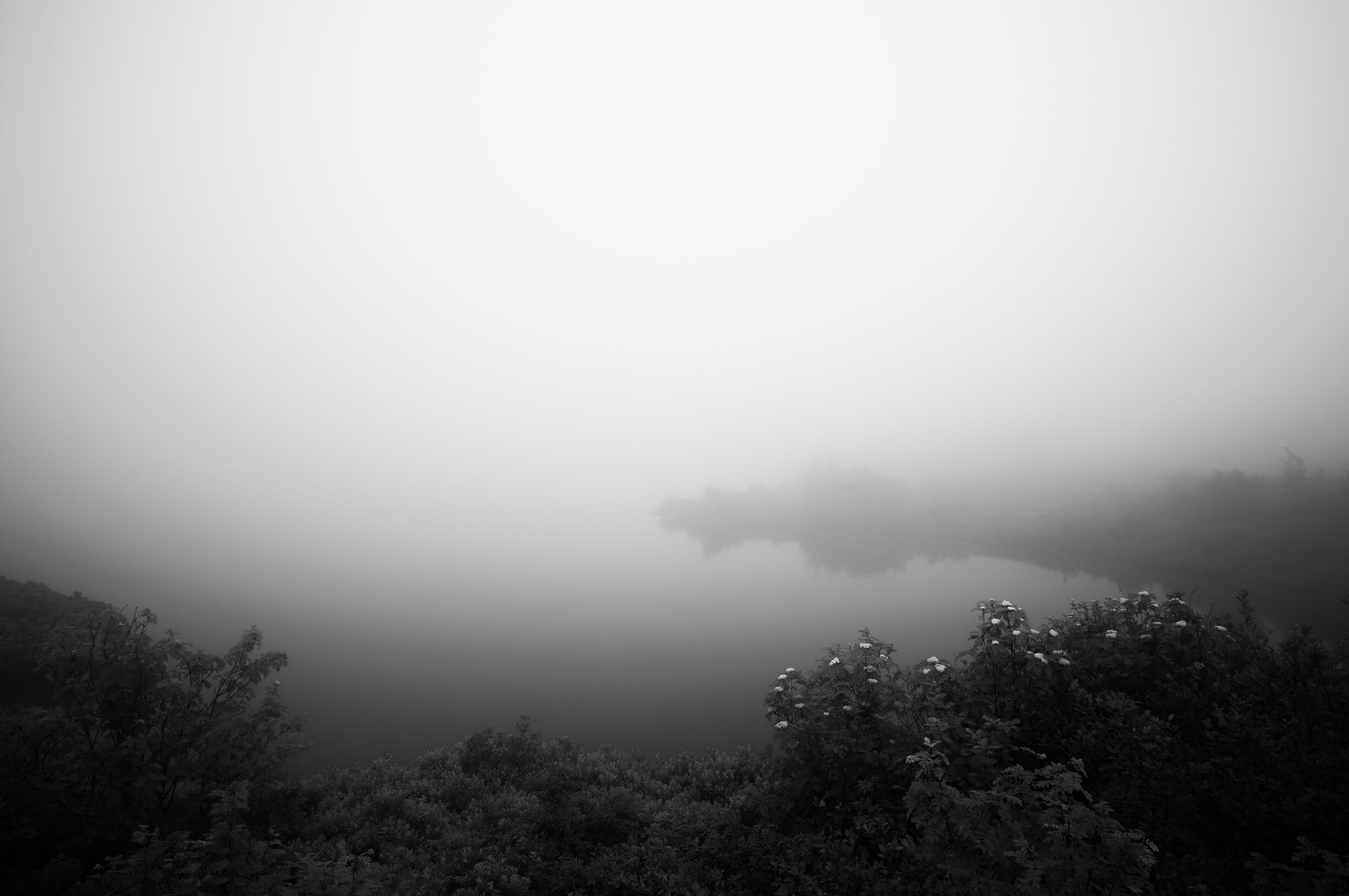 L1001307.jpg