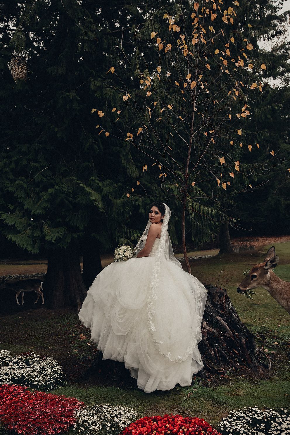 brsweddingrmmontoyajpg