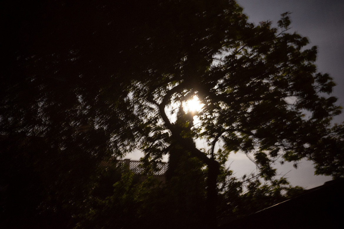 moonnightgrjpg