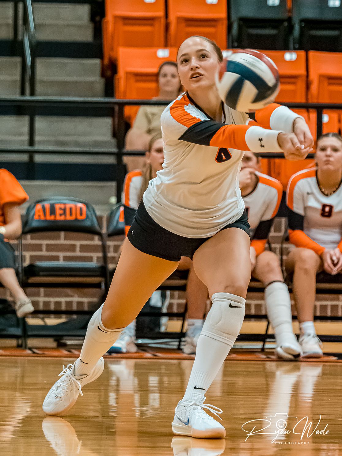  Ladycat Volleyball  jpg