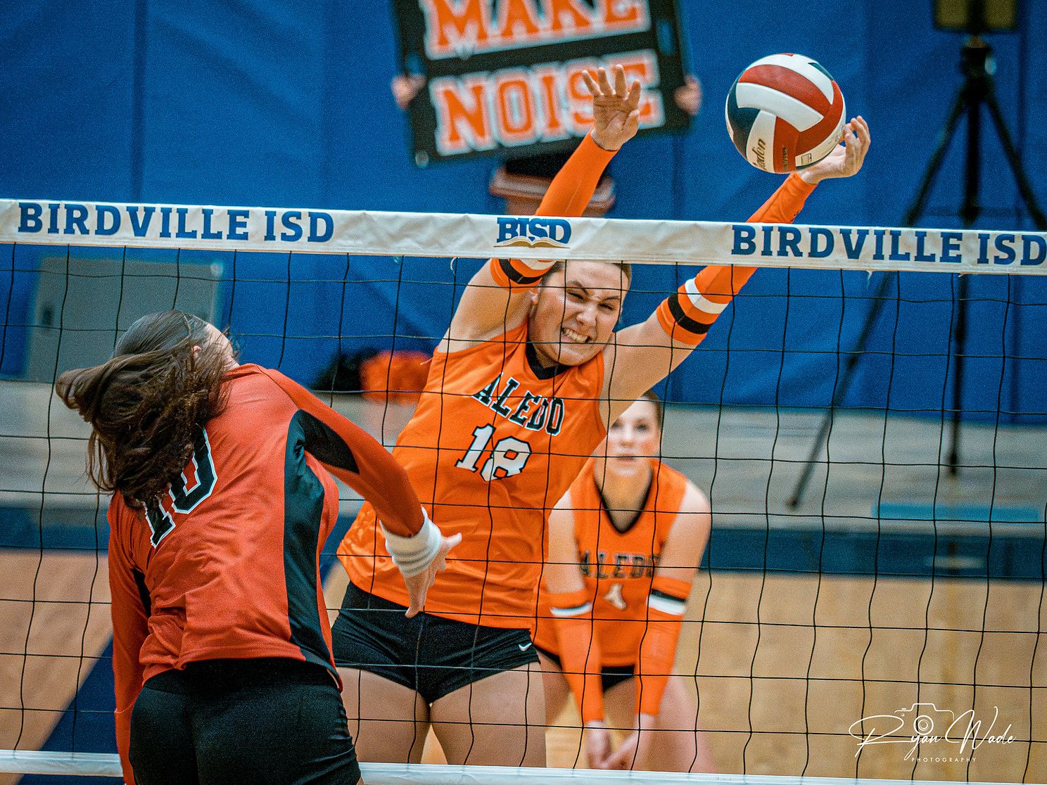  Ladycat Volleyballjpg