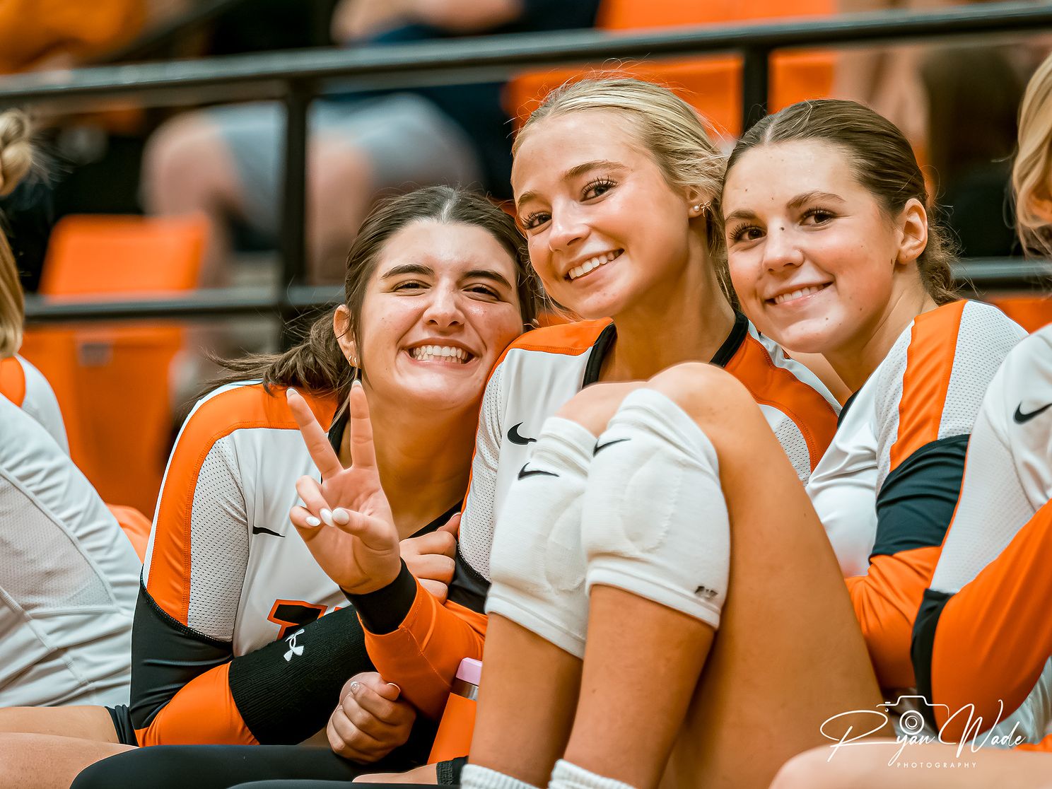  Ladycat Volleyball  jpg