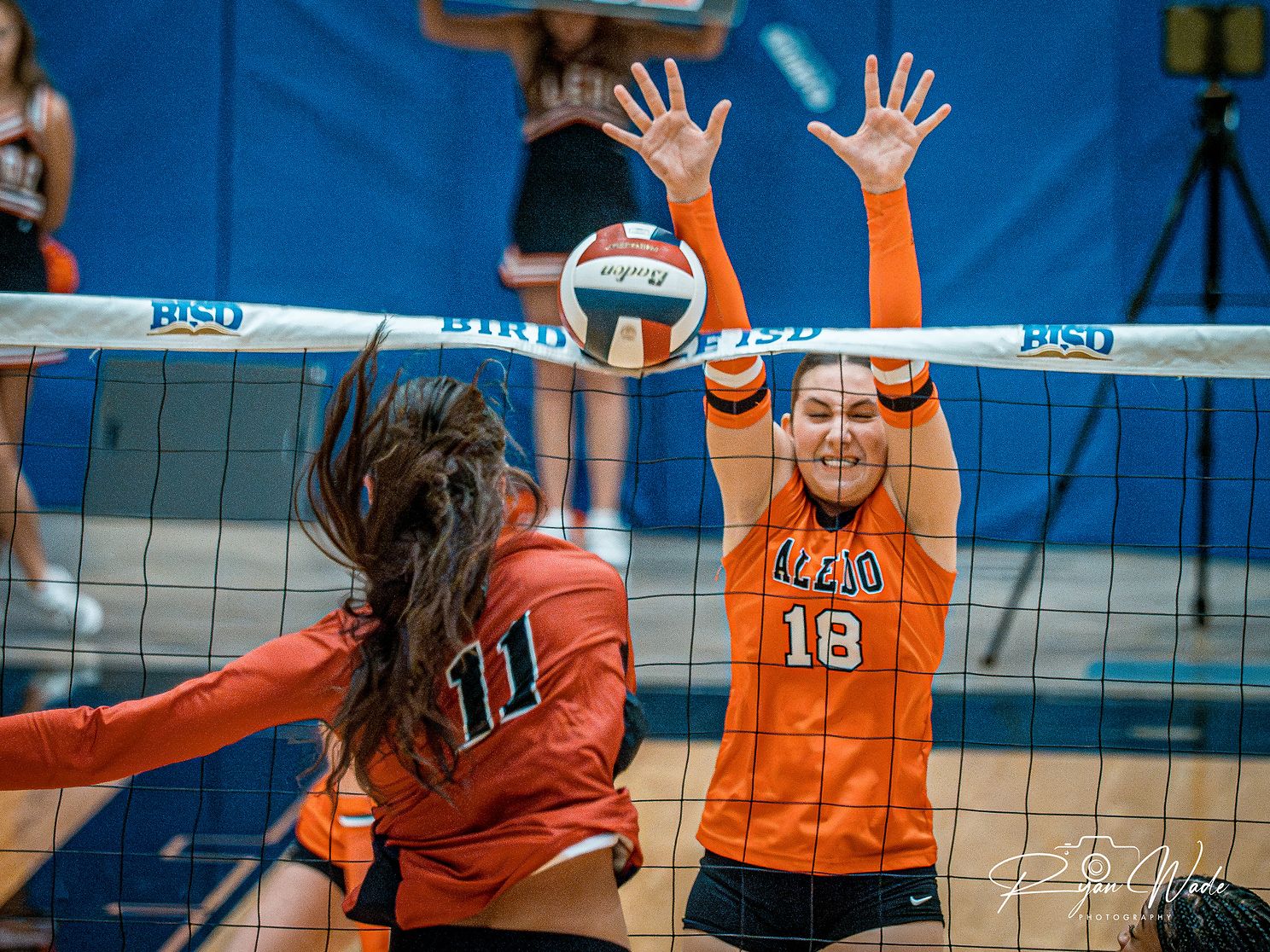  Ladycat Volleyballjpg
