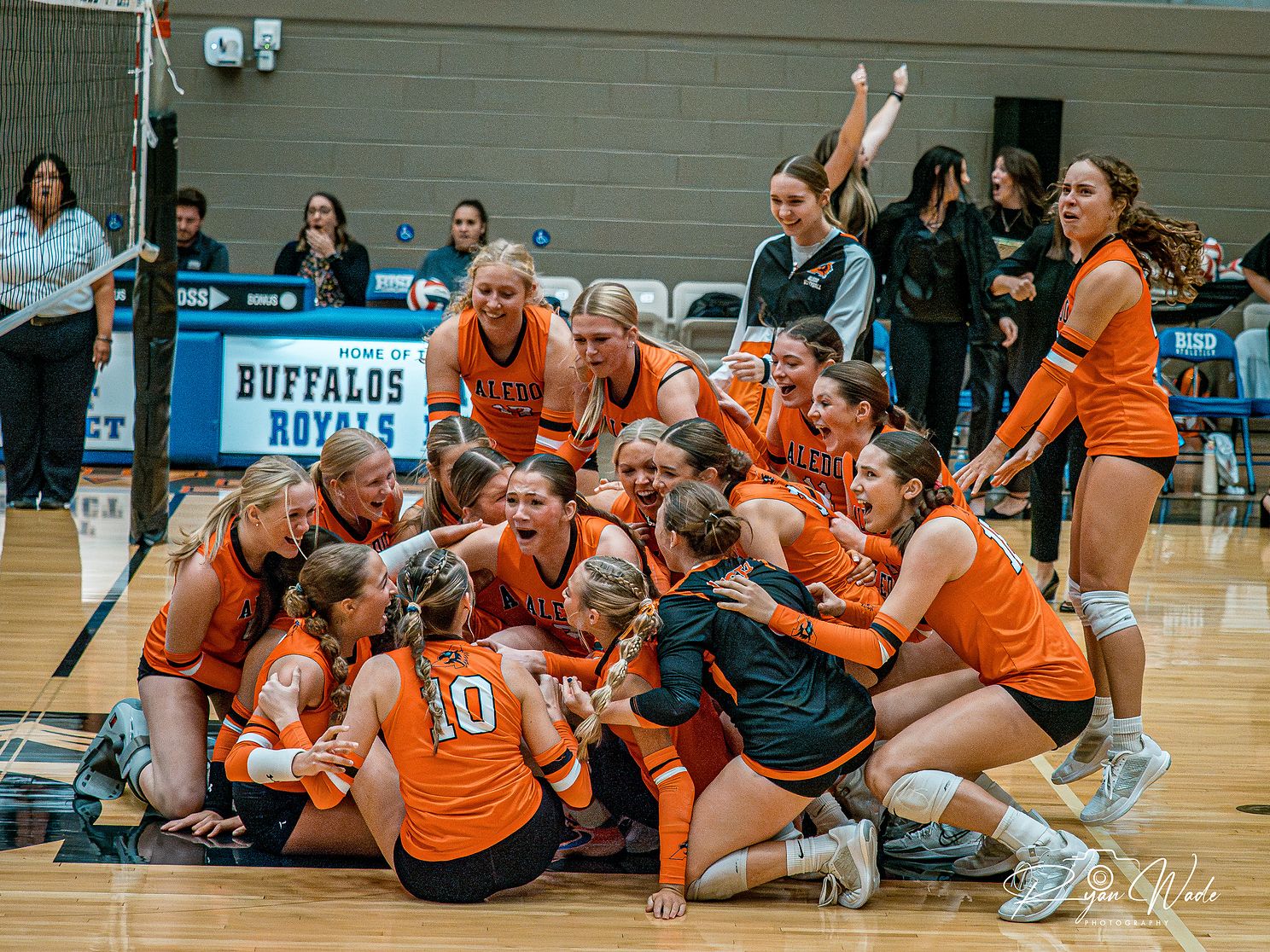  Ladycat Volleyballjpg