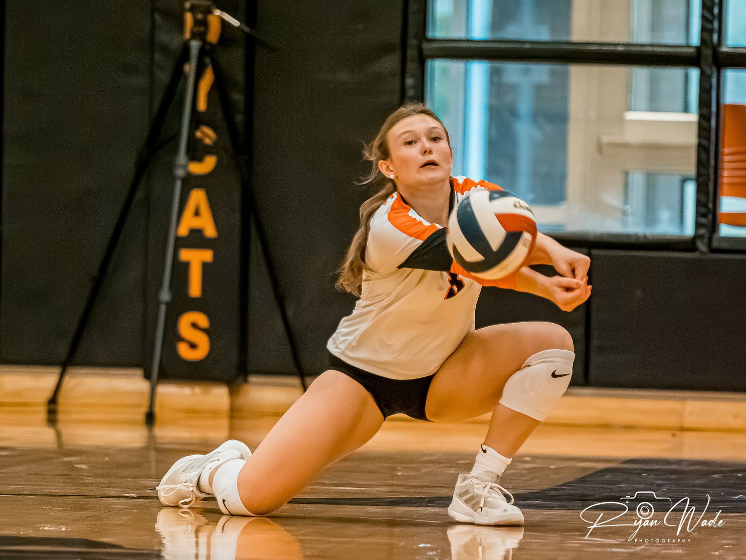  Ladycat Volleyball  jpg
