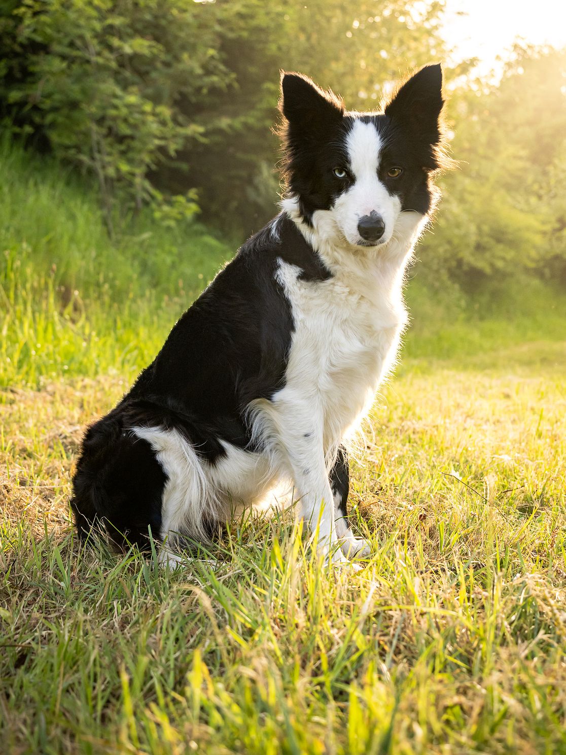 WINNIEjpg