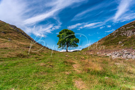 DSC_6943-Edit-Edit.jpg