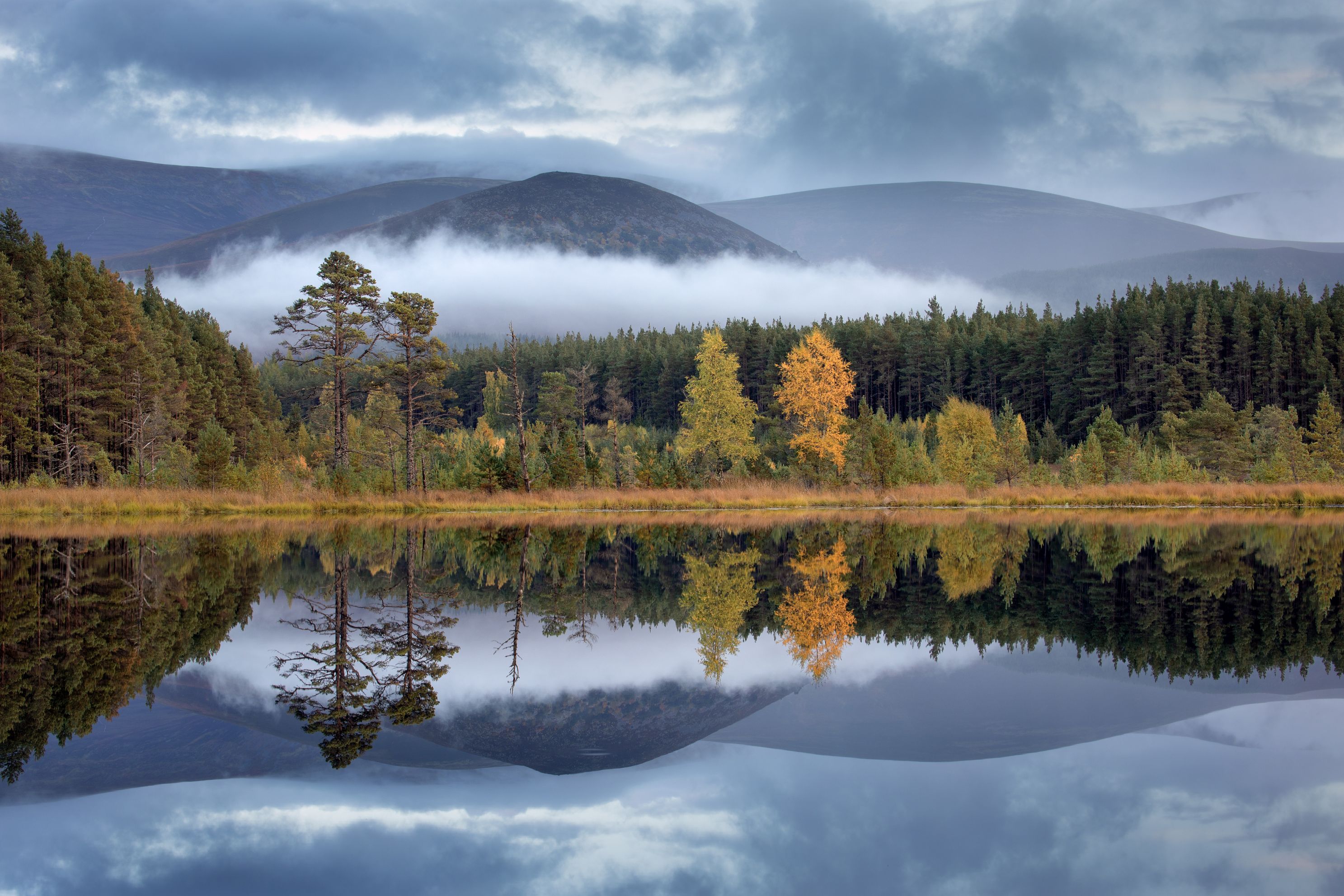Glen Feshie Lochan Uamh Mists Cairngorms NP Scotlandjpg