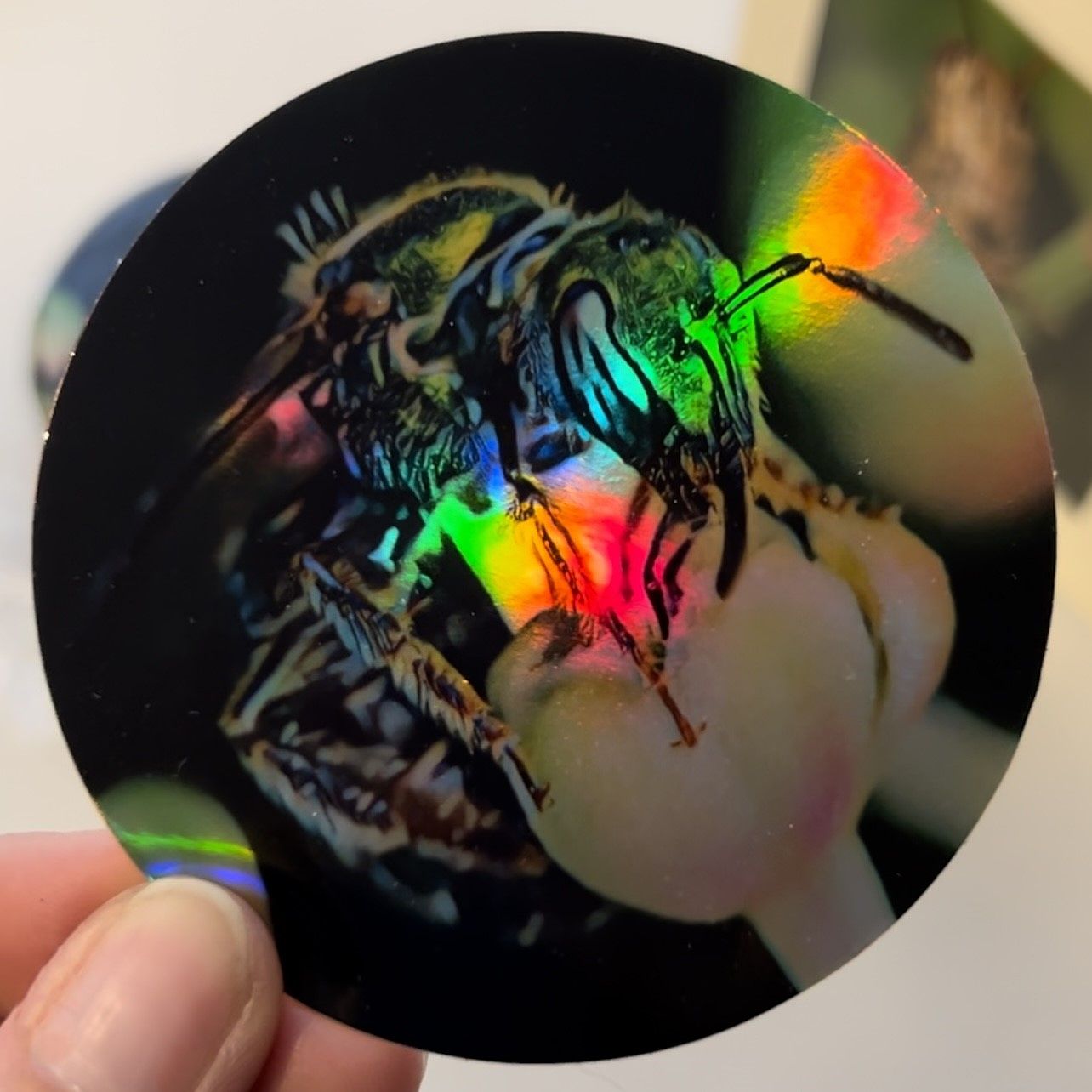 Holographic Sweat Bee Sticker