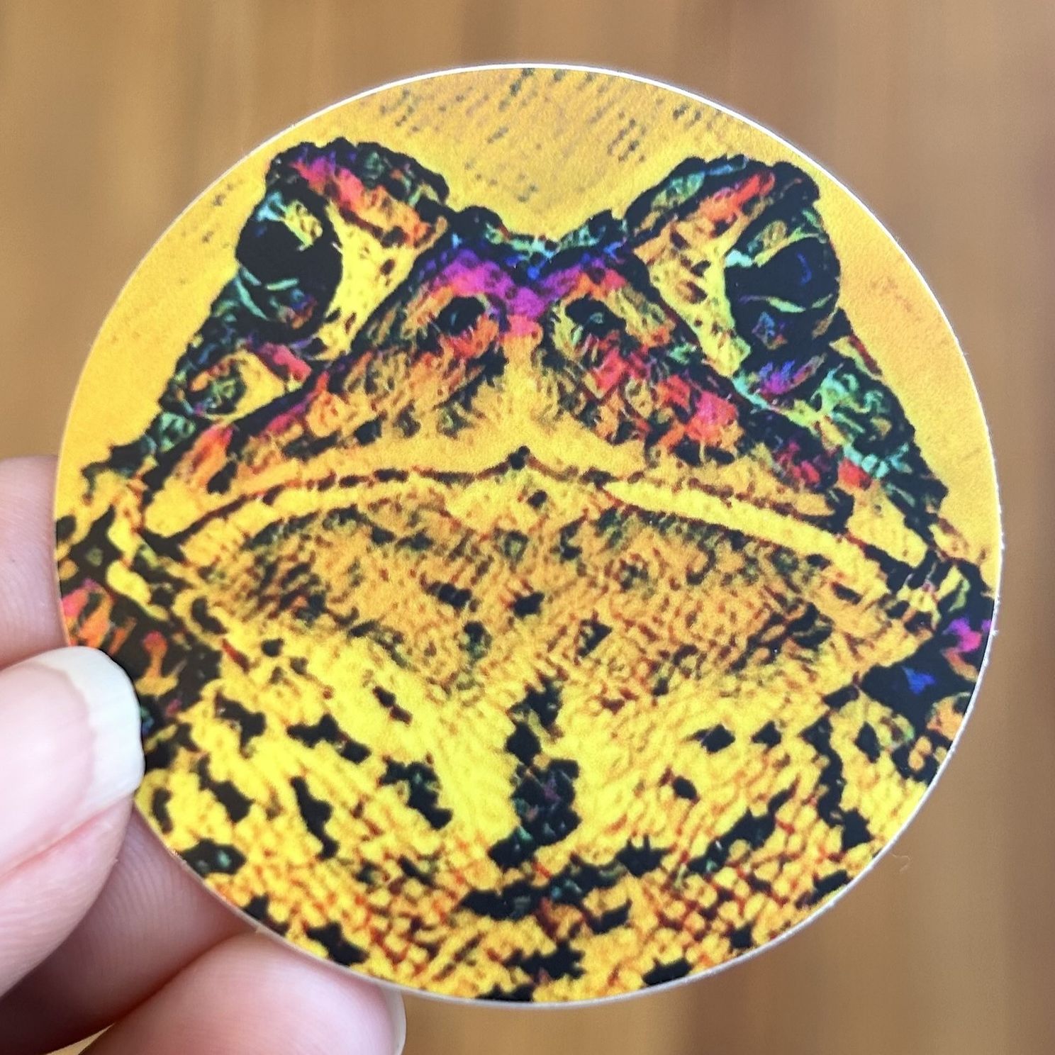 Eastern American Toad Sticker