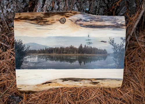 Christina Mudrick Photography