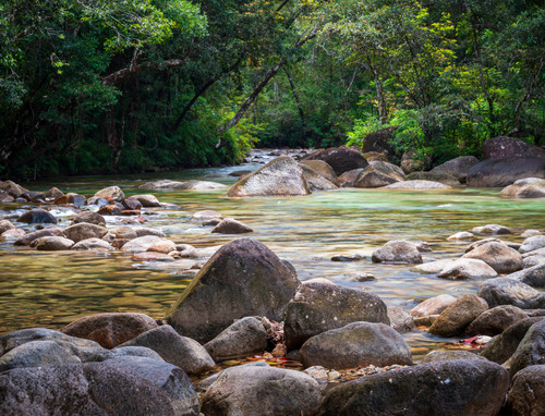 Bulgun Creek, a small tropical rainforest creek near the small township of Tully.