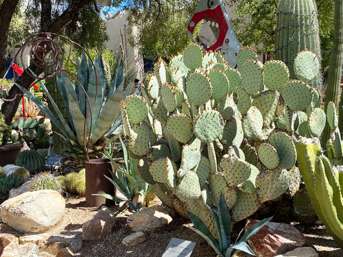 Gardenjpg