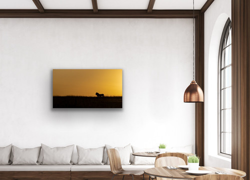 Neutral Room with Sunrise Photo