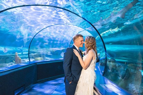ripleys aquarium myrtle beach sc wedding bride groom shark tunnel