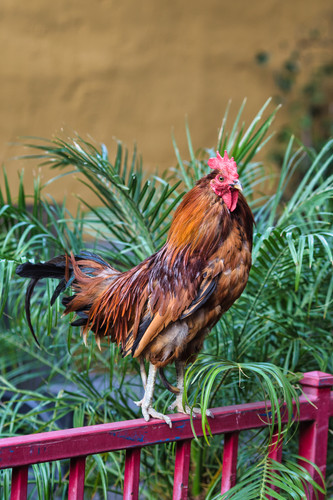 DSC_0776.jpg 1