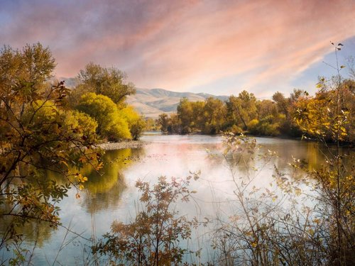 Pastels at Dawn