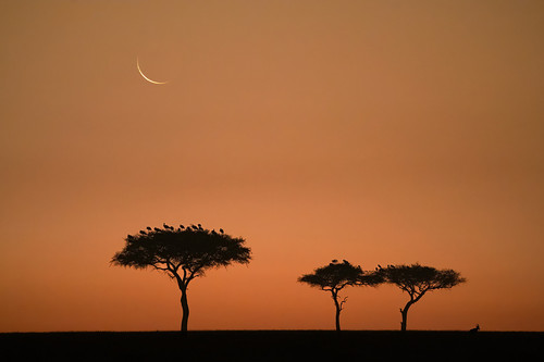 Sunrise Masai Mara Kenya