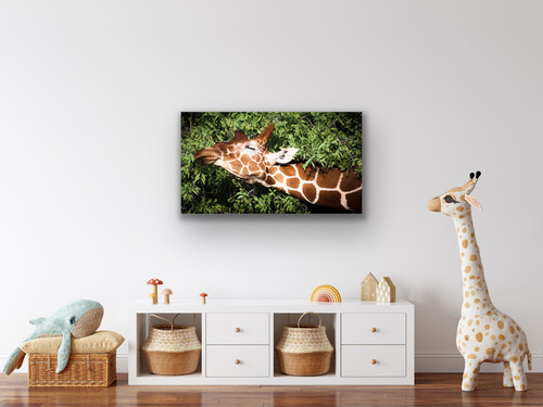 Childs room with giraffe photo