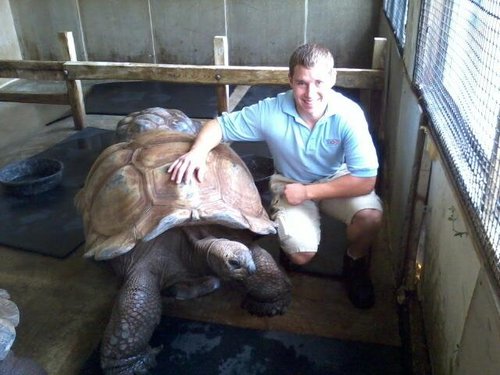Aldabra Tortoisejpg