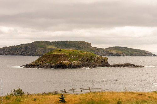 Newfoundlandjpg
