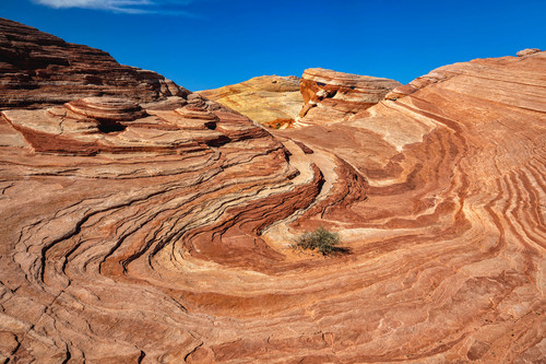 Chadwick 20231014 Valley of Fire State Park0012.jpg