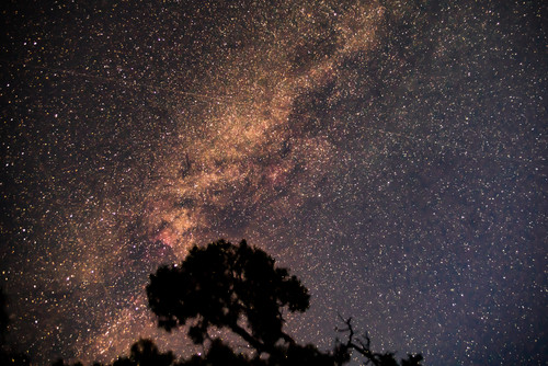 Milky Way Silhouette  The Milky Way in Dead Horse Point State Park in Utahjpg